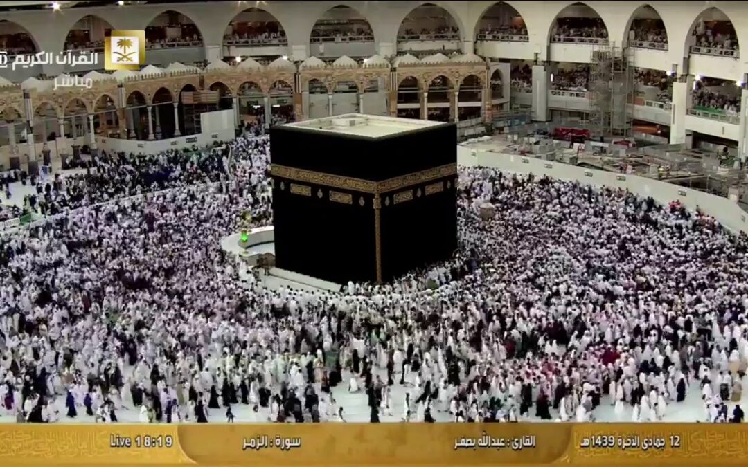 मक्का लाइव्ह