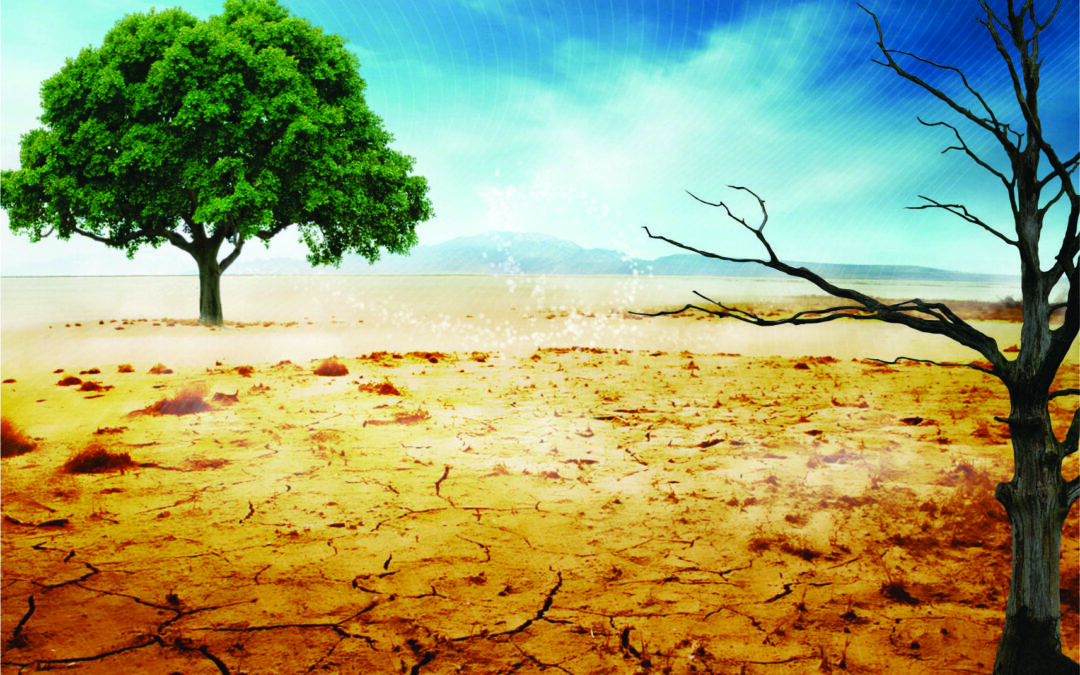 मानवावर एकेश्वरत्वाचा प्रभाव