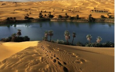 पैगंबर मुहम्मद (स.) यांचे आदेश