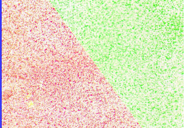 परलोकाच्या छायेत