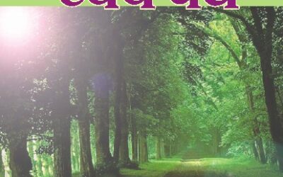 मार्गाचरण (हदीससंग्रह)