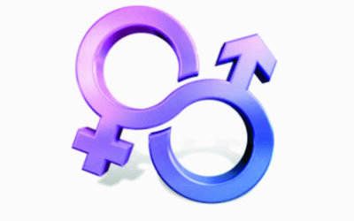 इस्लाम आणि लैंगिक समता