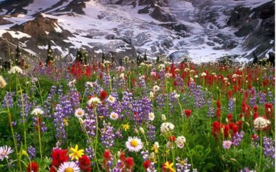 इस्लाम गैरसमज, आक्षेप आणि निराकरण