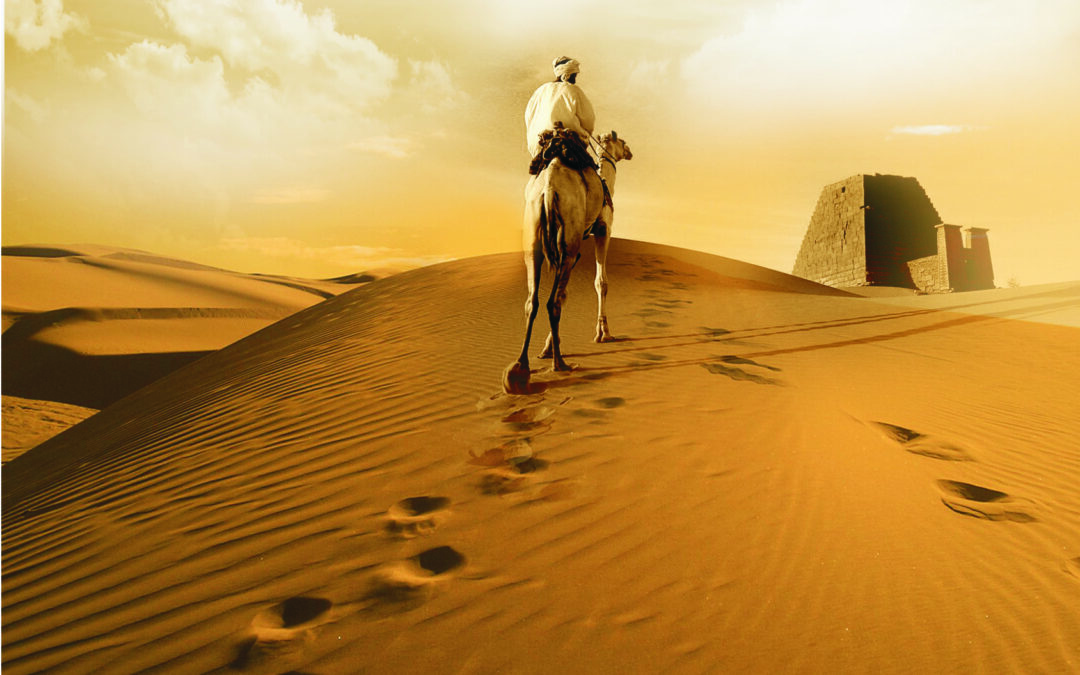 सत्यशोधक आत्मे