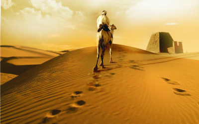 सत्यशोधक आत्मे