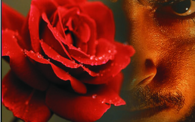 जिव्हेचे रक्षण