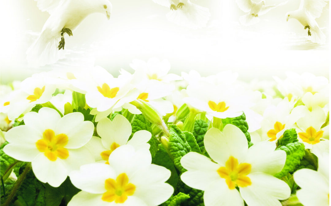 भली माणसं (हदीससंग्रह)