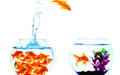 भांडवलशाही आणि आर्थिक शोषण